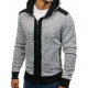 Men´s Hoody Dariel Grey