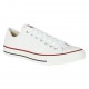 Unisex Trainers Skater White