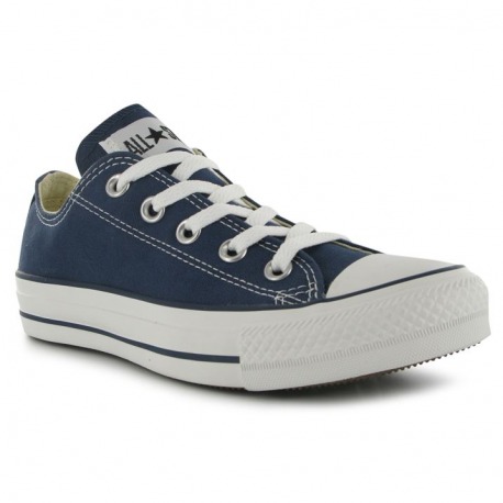 Unisex Trainers Skater Blue